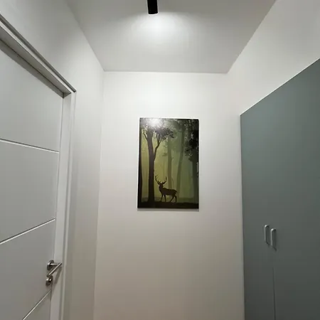 Apartman Lara - Divcigora Divcibare Exterior photo
